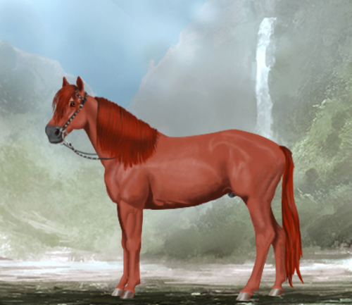 horse image