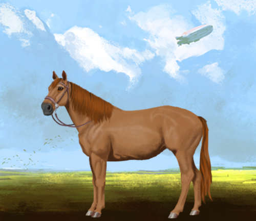 horse image