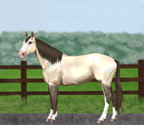 horse image