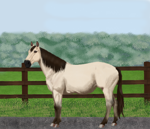 horse image