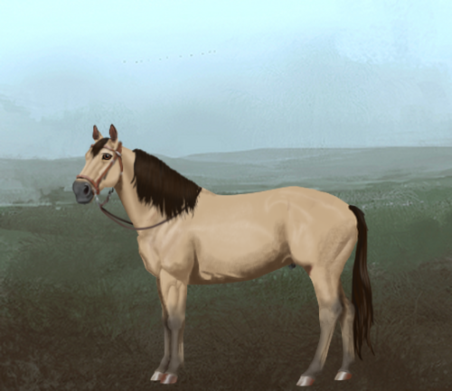 horse image