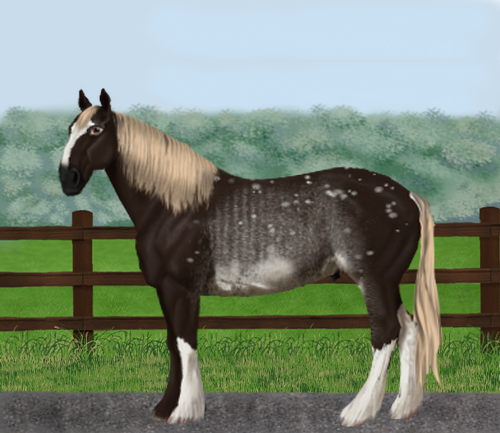 horse image