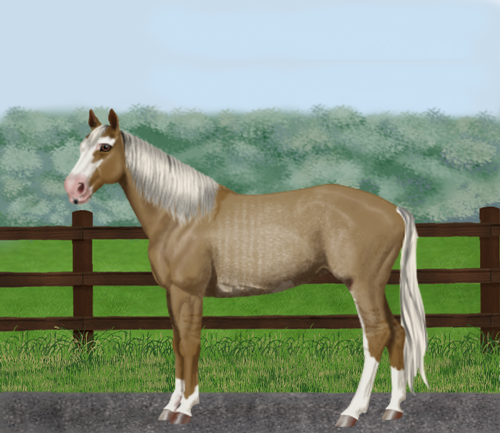 horse image