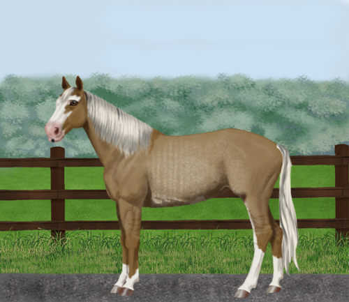 horse image