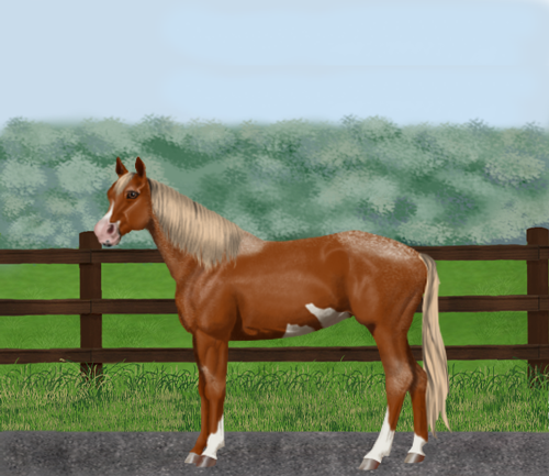 horse image