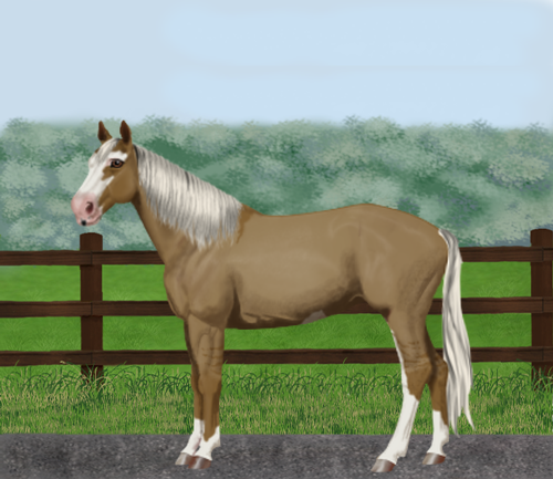 horse image