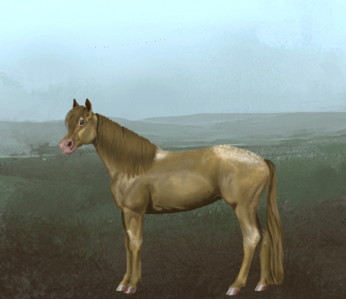 horse image