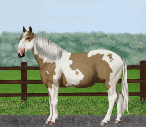 horse image