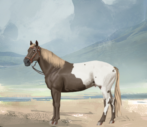 horse image