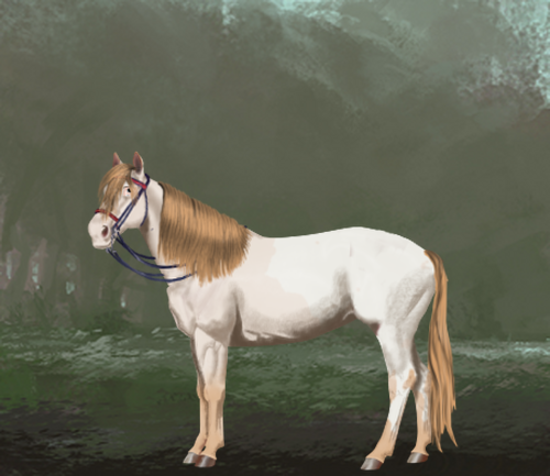 horse image