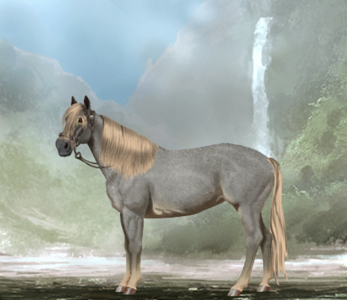 horse image