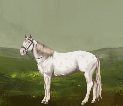 horse image