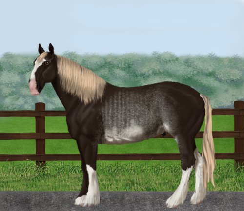 horse image