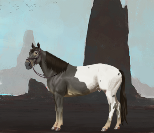 horse image