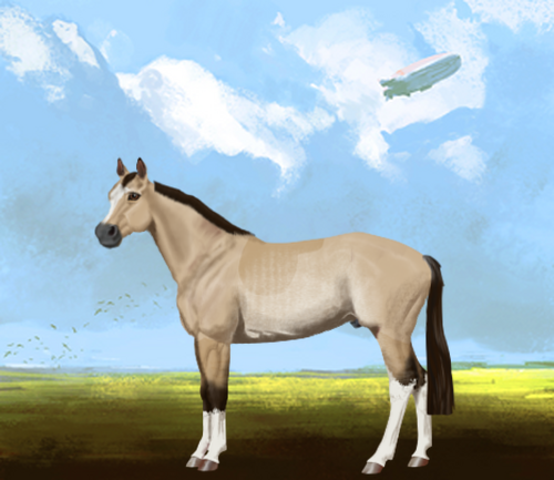 horse image