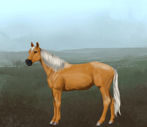 horse image