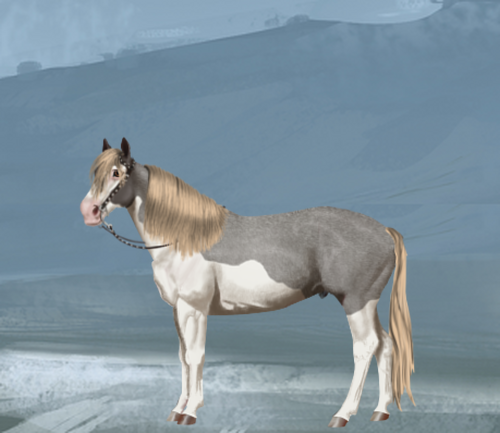 horse image