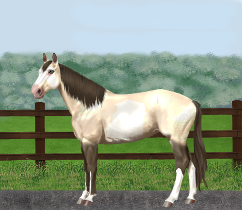 horse image