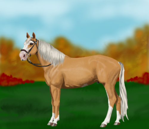 horse image