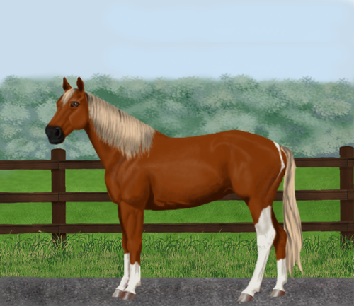 horse image