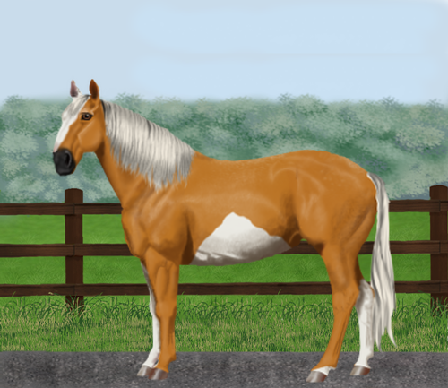 horse image