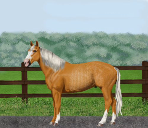 horse image