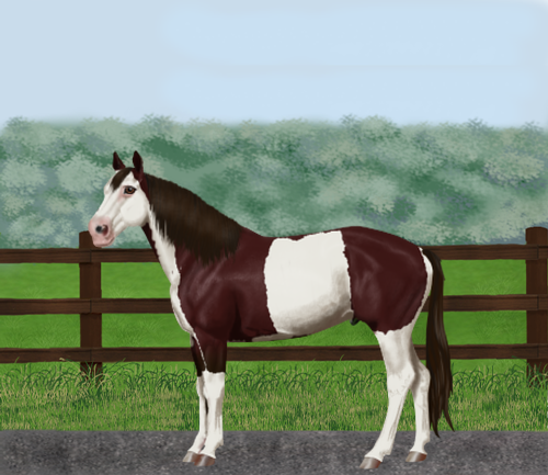 horse image