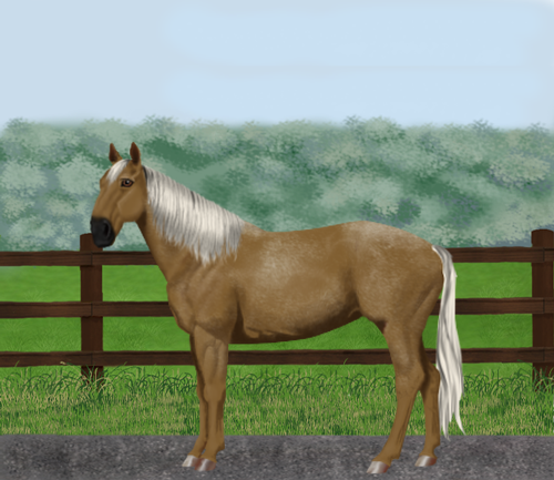 horse image