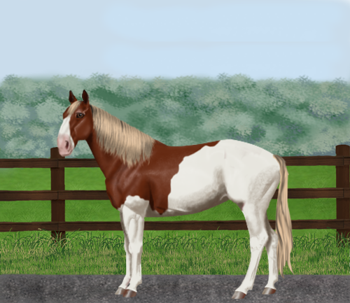 horse image