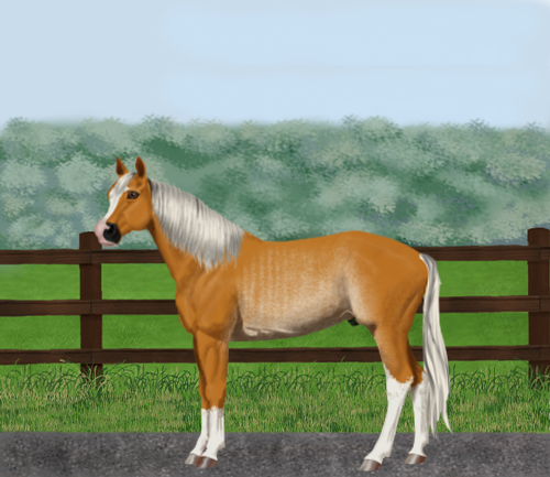 horse image