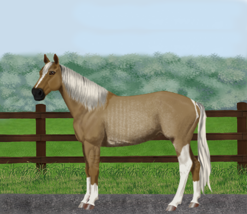 horse image