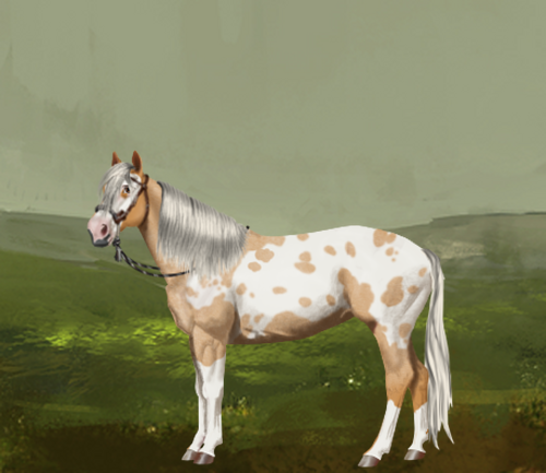 horse image