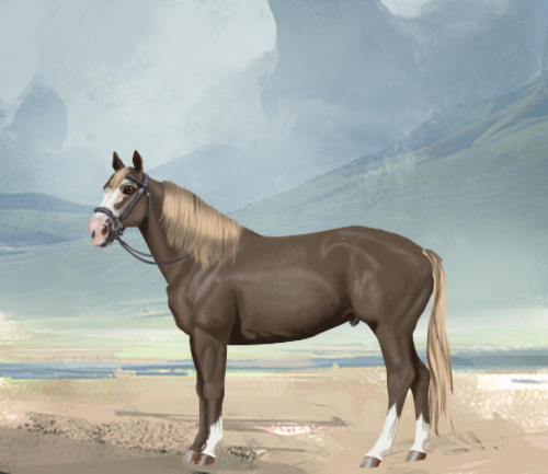 horse image