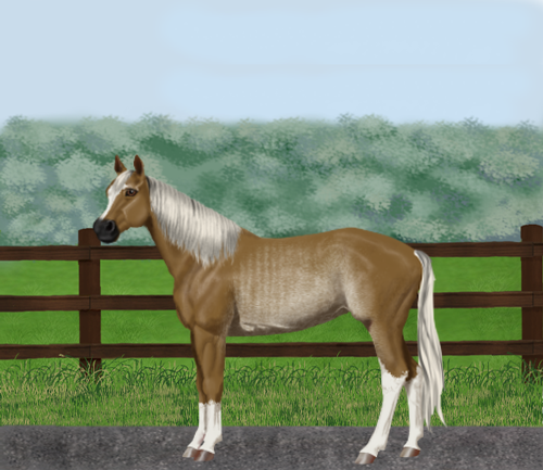 horse image