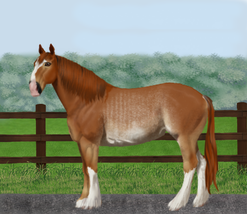 horse image