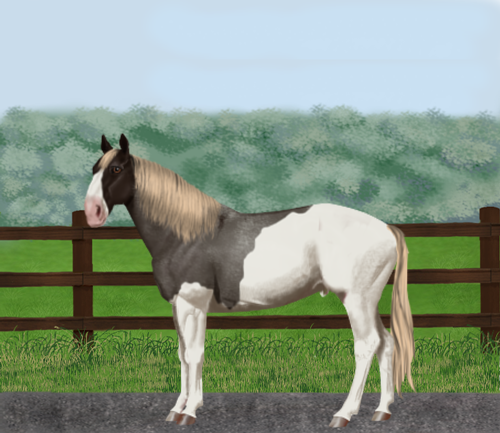 horse image