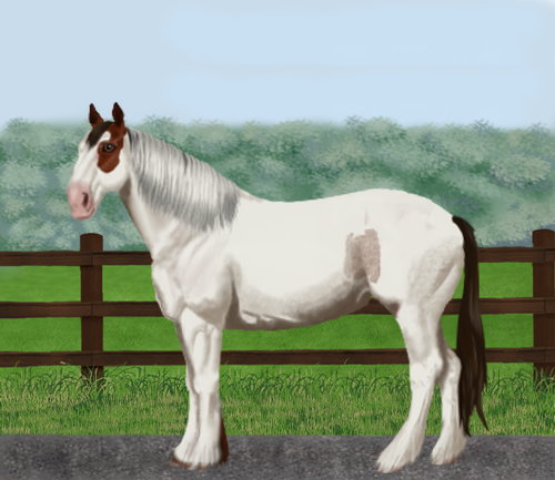 horse image