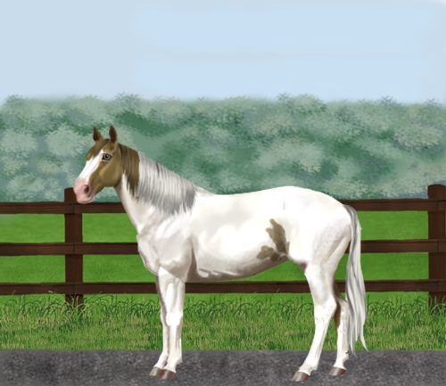 horse image