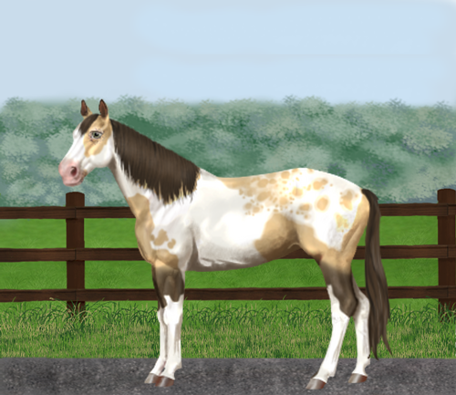 horse image