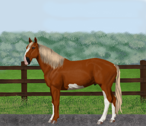 horse image