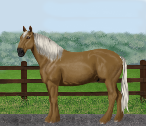 horse image