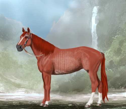 horse image