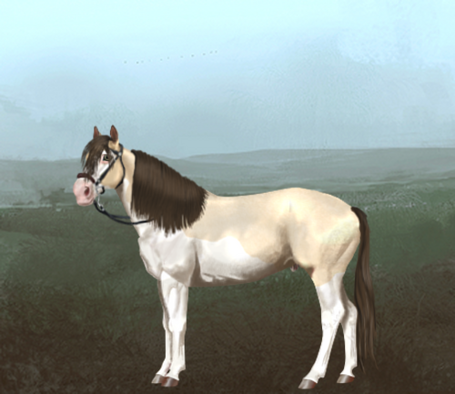 horse image