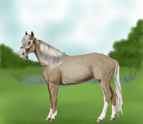 horse image