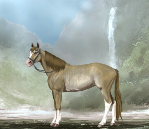 horse image