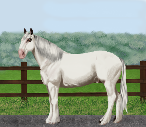 horse image