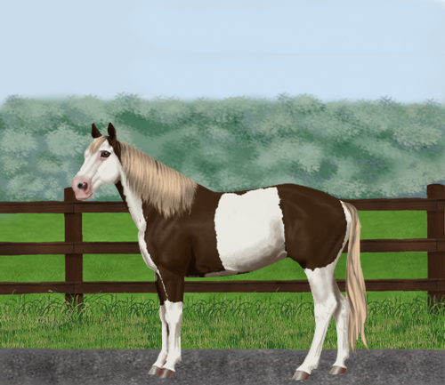 horse image