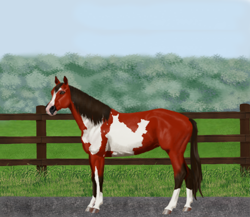 horse image