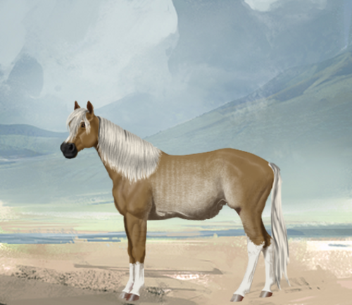 horse image