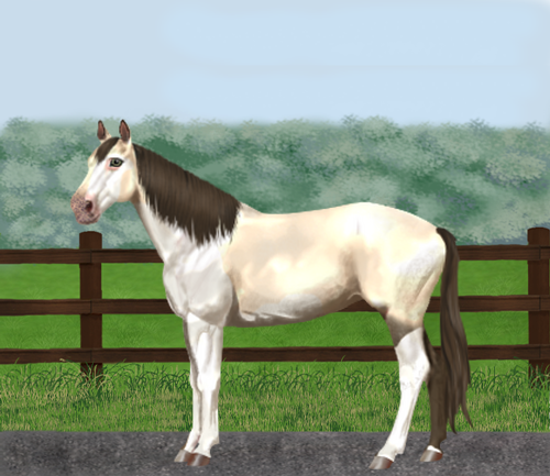 horse image